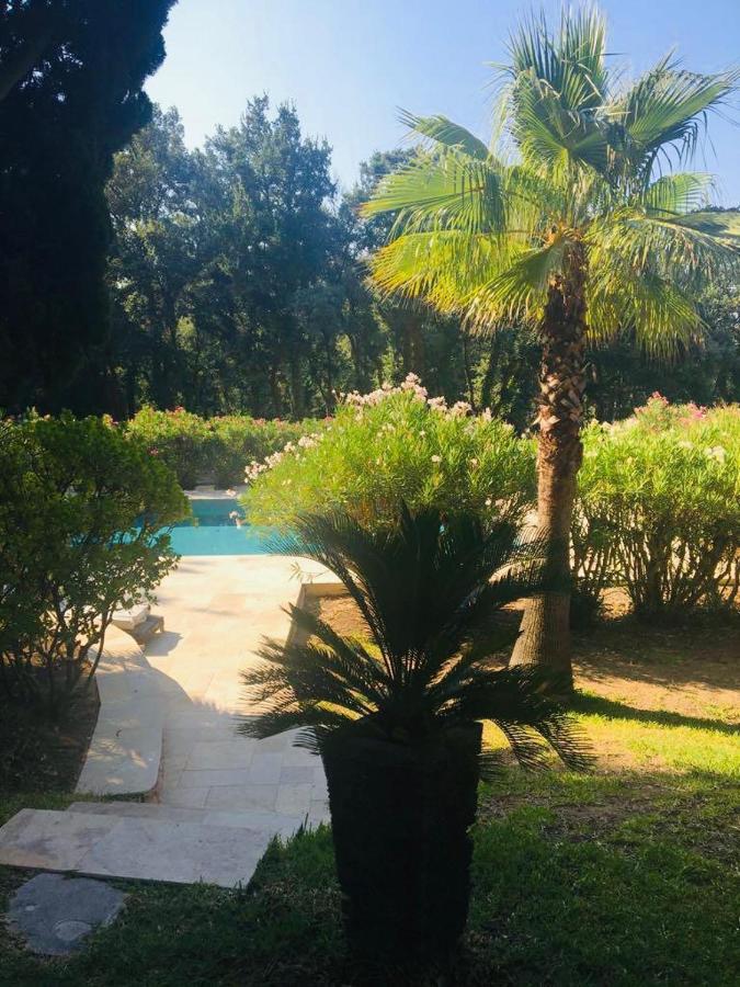 Villa Provencale Familiale Avec Piscine 그리모 외부 사진